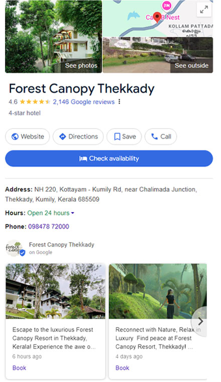 Forest Canopy Resort