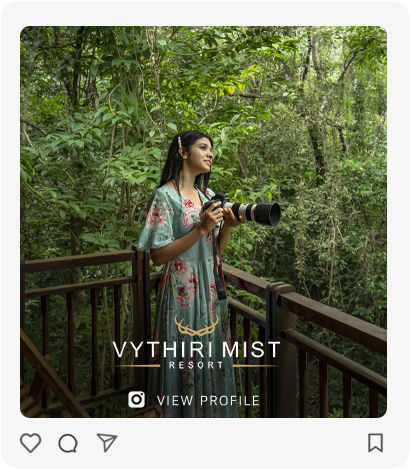 Vythiri Mist resort Wayanad